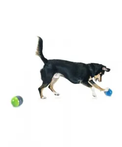 PetSafe Ricochet elektronická hračka pre psa