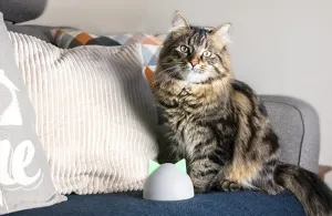 Dvierka pre mačky Sureflap Microchip Cat Door Connect