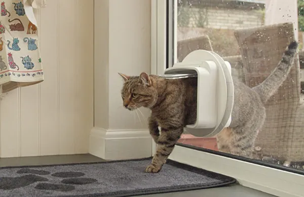 Dvierka pre mačky Sureflap Microchip Cat Door Connect