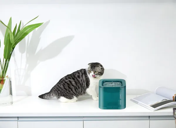 Fontána Petkit Eversweet Solo