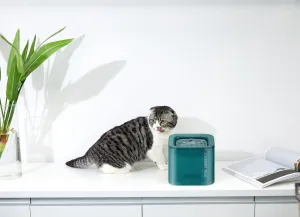 Fontána Petkit Eversweet Solo
