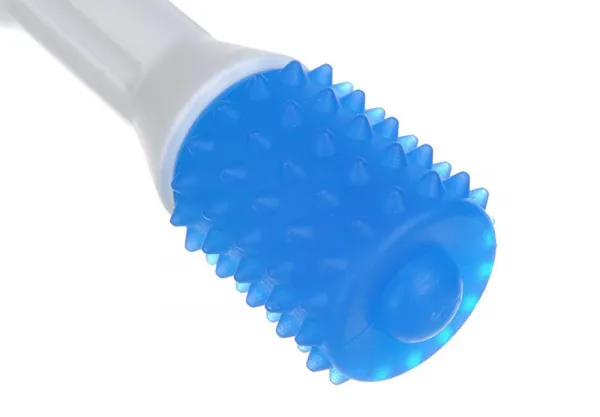 Reedog dental toy - M