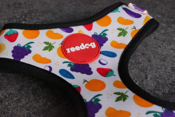 Reedog FRUIT - M