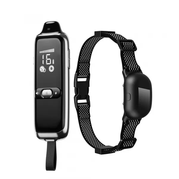 Patpet T300