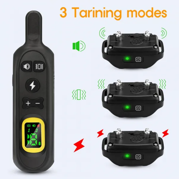 Reedog P19 - pro 1 psa