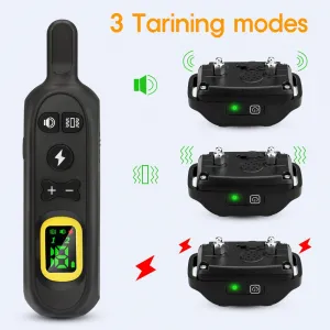 Reedog P19 - pro 1 psa