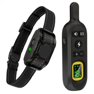Reedog P19 - pro 1 psa