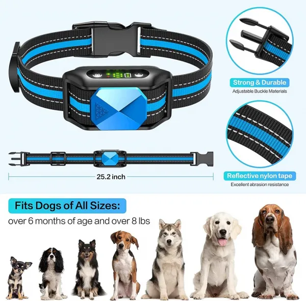 Reedog Q20