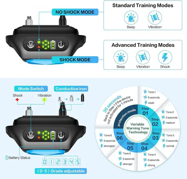 Reedog Q20