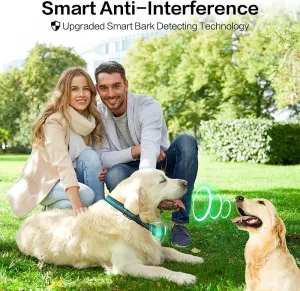 Reedog Q20