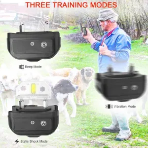 Reedog P11 - pro 2 psy