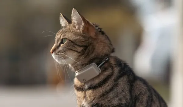Tractive GPS CAT Mini