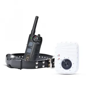 Reedog DF-213