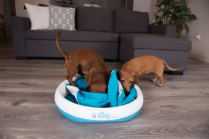 iFetch iDig Stay Digging Toy