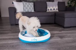 iFetch iDig Stay Digging Toy