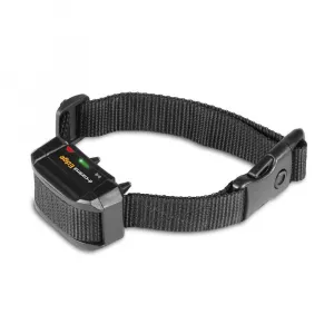 Dogtrace D-control Edge 250