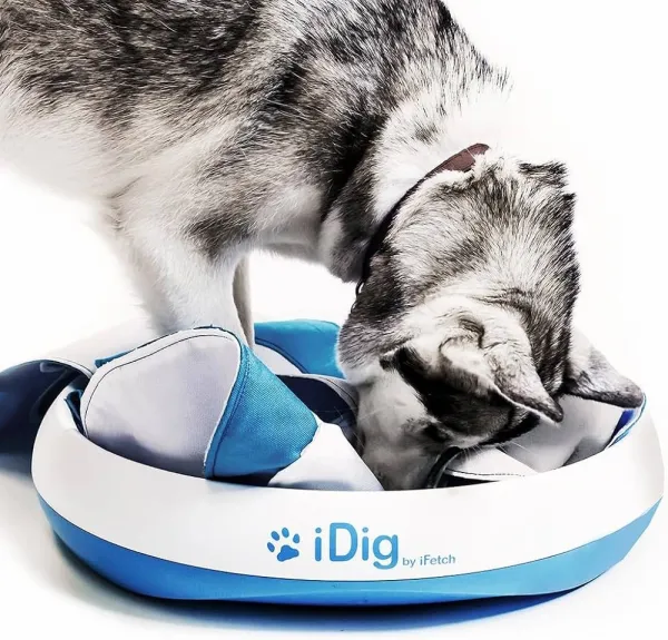 iFetch iDig Stay Digging Toy