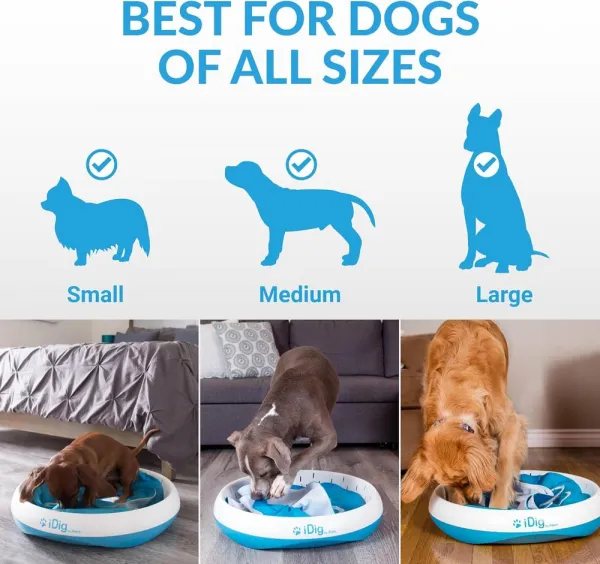 iFetch iDig Stay Digging Toy