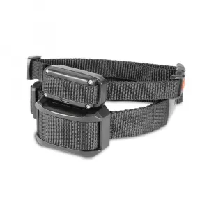 Dogtrace D-control Edge 250
