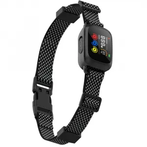 Patpet B630 Plus