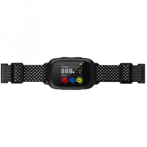 Patpet B630 Plus