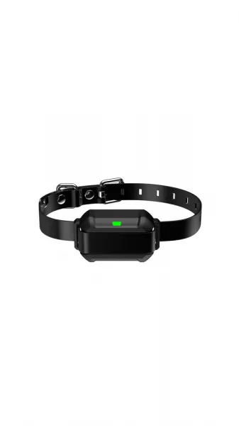Patpet F900 PLUS