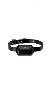 Patpet F900 PLUS