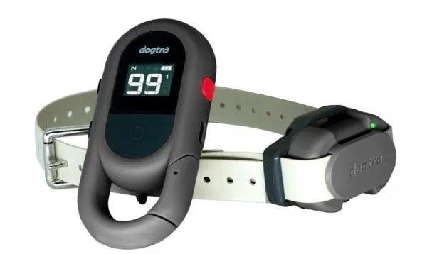 Dogtra IQ Flex