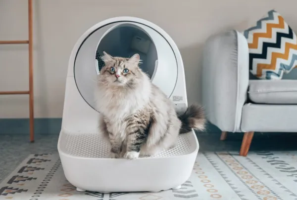 Automatický záchod Catlink AI Scooper Young