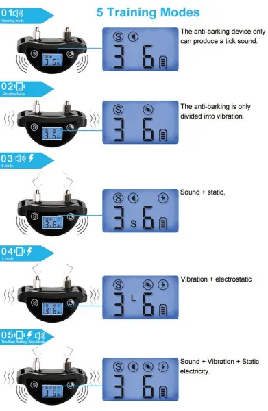 Patpet B420