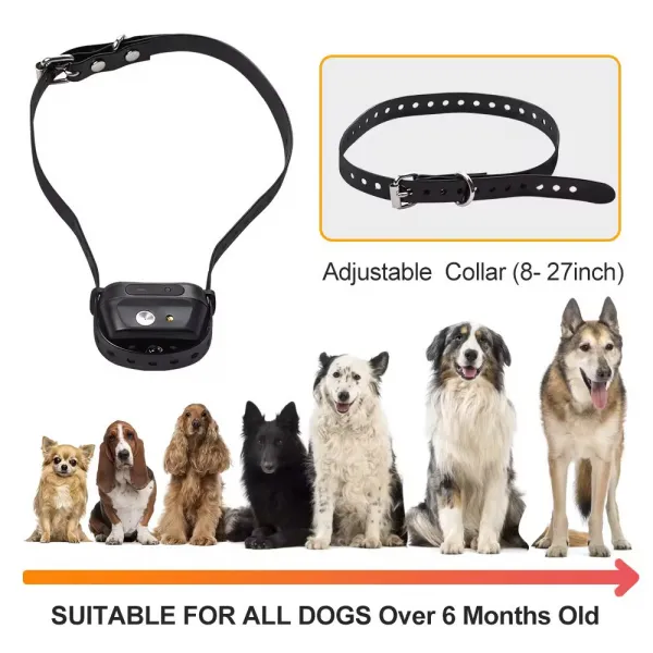 Reedog SP32