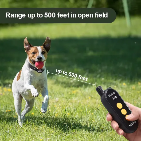 Reedog SP32