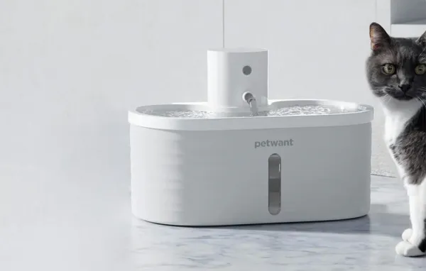 Fontána Petwant W4