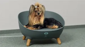 Vyhrievaný pelech Petoneer Cozy Sofa