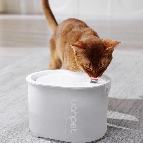 UahPet Glow Fontána pre domáce zvieratá