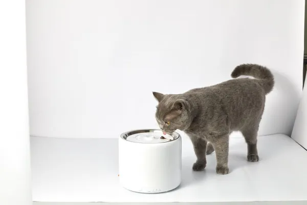 Petkit Eversweet 3 Pro UVC Fontána pre domáce zvieratá