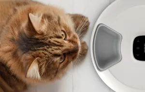Inteligentný dávkovač Petoneer NutriSpin
