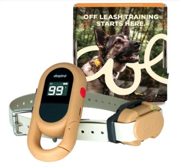 Dogtra IQ Flex