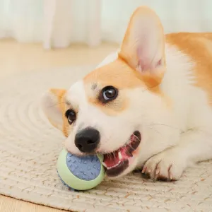 Gumená loptička na hryzenie Reedog