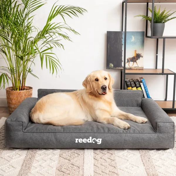 Reedog Glamour Ekolen Grafit Pelech pre psa