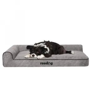 Reedog Best Dora Gray Pelech pre psa