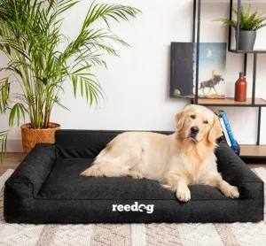Reedog Glamour Ekolen Black Pelech pre psa