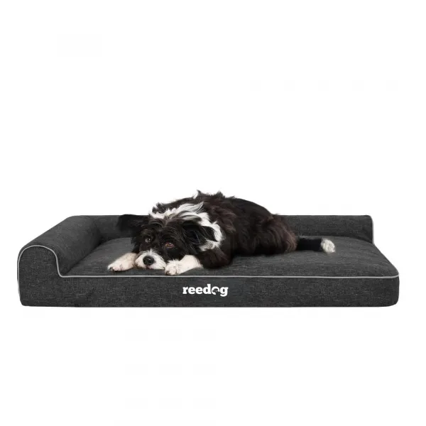 Reedog Best Ekolen Black Pelech pre psa
