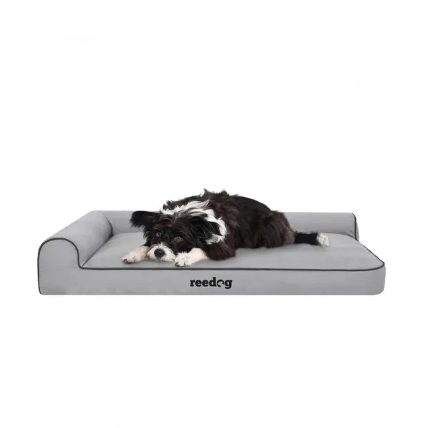 Reedog Best Oxford Light Gray Pelech pre psa