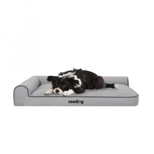 Reedog Best Oxford Light Gray Pelech pre psa