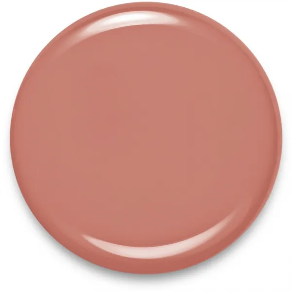 Bourjois 1 Seconde rýchloschnúci lak na nechty odtieň 004 Beige Friend 9 ml