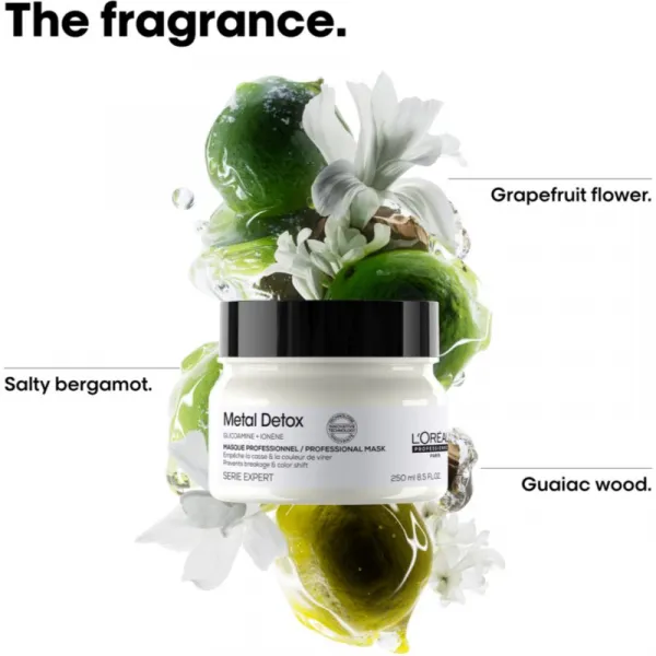 L’Oréal Professionnel Serie Expert Metal Detox hĺbkovo vyživujúca maska pre farbené a poškodené vlasy 250 ml