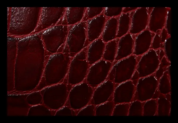 Pierre Cardin 1310 Rosso Cocco