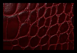 Pierre Cardin 1310 Rosso Cocco