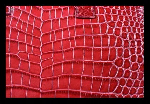 Pierre Cardin 1389 Cocco Rosso